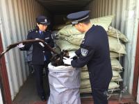 上海海关查获8万余张走私貂皮