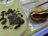 海昏侯墓清理金器 马蹄金上刻有