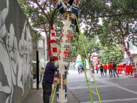 深圳行道树集体穿秋裤 花枝招展