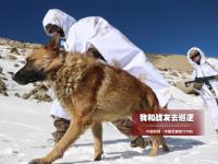 官兵-30℃海拔5548米巡边 化雪煮面喂狗