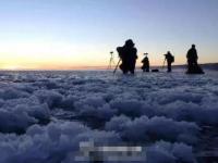 青海湖数百只大天鹅遭无人机拍摄惊扰
