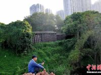 南宁百年古老制陶村被高楼包围