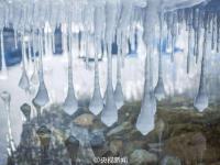 天山脚下倒挂冰凌似“卷珠帘”