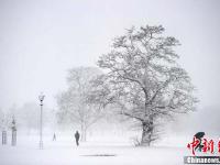 【图刊】雪韵美景