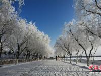 组图：甘肃嘉峪关雪中雄关美如画