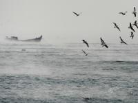 大连海域出现“浩气”奇观