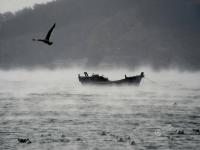 大连海域出现“浩气”奇观