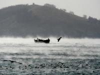 大连海域出现“浩气”奇观