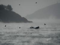 大连海域出现“浩气”奇观