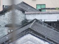 广州60多年来首次飘起鹅毛大雪