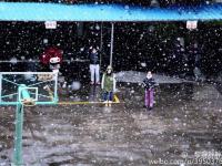 广州60多年来首次飘起鹅毛大雪