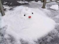广州60多年来首次飘起鹅毛大雪