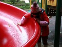 广州60多年来首次飘起鹅毛大雪