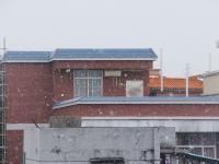广州60多年来首次飘起鹅毛大雪