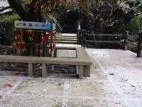 广州60多年来首次飘起鹅毛大雪
