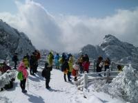 40厘米积雪遇日出云海 黄山雪景美煞游人