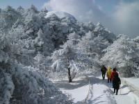 安徽黄山降雪达40厘米 美若童话世界