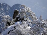 安徽黄山降雪达40厘米 美若童话世界