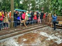 广西为保护“41年来首次降雪”拉警戒线赏雪
