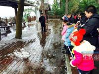 广西为保护“41年来首次降雪”拉警戒线赏雪