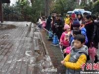广西为保护“41年来首次降雪”拉警戒线赏雪