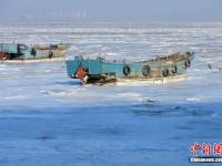山东寒潮冰封胶州湾 渔船冻结在海面