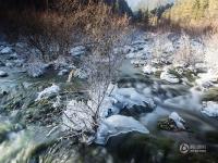 寒潮席卷气温骤降 九寨沟进入“冰河世纪”