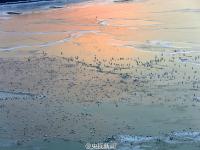 黄河大面积结冰美如画 冰层似婉转丝带