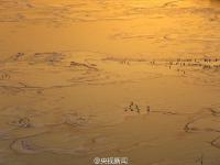 黄河大面积结冰美如画 冰层似婉转丝带
