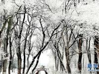 安徽万佛湖景区雪后如画