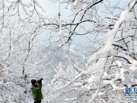 安徽万佛湖景区雪后如画