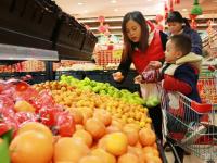 图片故事：“袋鼠妈妈”携子返乡路