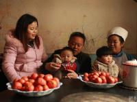图片故事：“袋鼠妈妈”携子返乡路