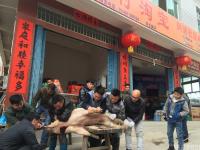 图片故事：“袋鼠妈妈”携子返乡路