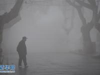 华东地区遭遇新春首场大雾