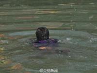 50岁大妈跳水救男孩 事后悄悄离开