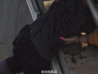 50岁大妈跳水救男孩 事后悄悄离开
