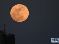 看！北京元宵节夜空圆月高挂 美丽皎洁 