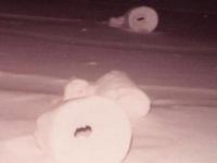 美国爱达荷州现“雪卷”奇观