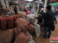 玛卡价格上万如今卖出白菜价 每公斤最低7元