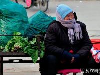 环卫奶奶的心酸一幕：为养老她们如此拼命