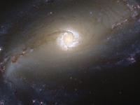 吞噬宇宙的超级大黑洞