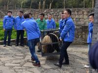 两只大熊猫赴韩国