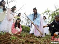 湖南大学生实践课上着汉服种草药