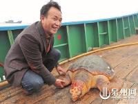 海龟误入渔网 渔民拒万元将其放归大海