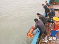 海龟误入渔网 渔民拒万元将其放归大海