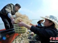 鄱阳湖正式进入禁渔期 渔民停船收网