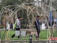 南京大学生用“竹子”搭建创意建筑