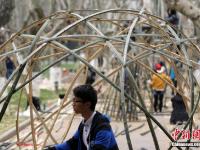 南京大学生用“竹子”搭建创意建筑