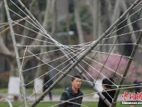 南京大学生用“竹子”搭建创意建筑